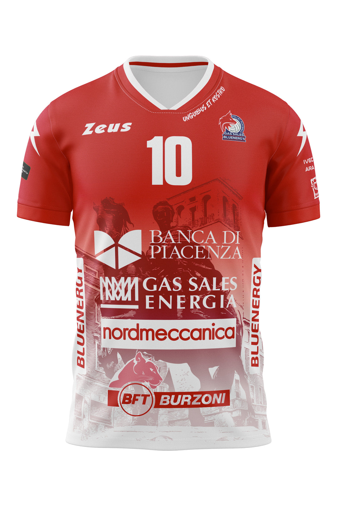 MAGLIA DELLA VITTORIA CEV-COMPARONI