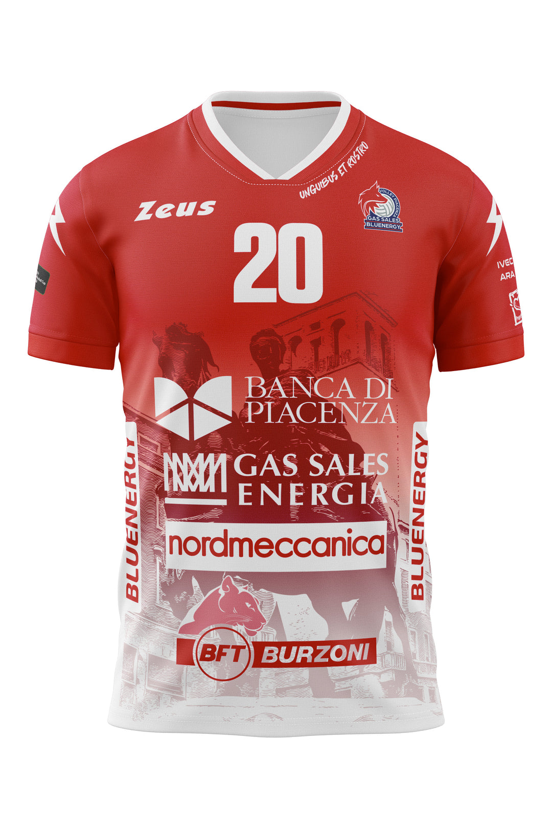 MAGLIA DELLA VITTORIA CEV-BERGMANN